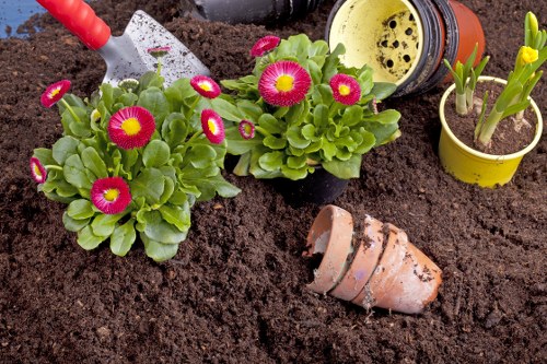 Soft landscaping planting and turfing in a Crystal Palace garden