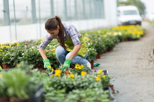 Garden landscaping ideas for a Crystal Palace home