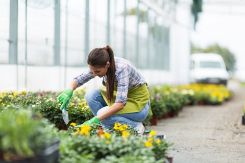 Preparing a residential hard landscaping site in Crystal Palace