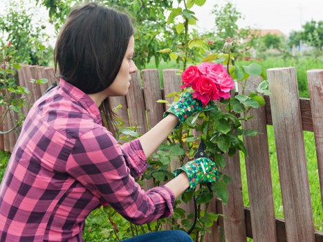 Timber garden fencing options suitable for homes in Crystal Palace