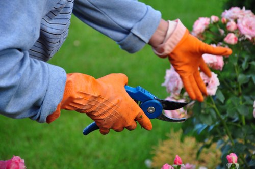 Risk assessment on a landscaping site before work begins