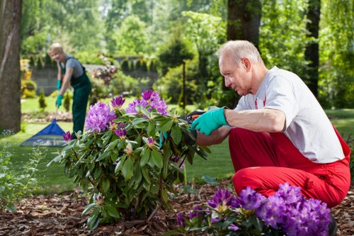 Senior review of a landscaping complaint resolution