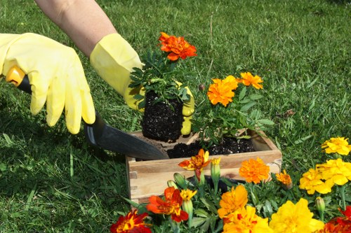 Supplier compliance and anti-slavery oversight illustration