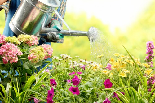 Keyboard navigation focus on a landscaping information page
