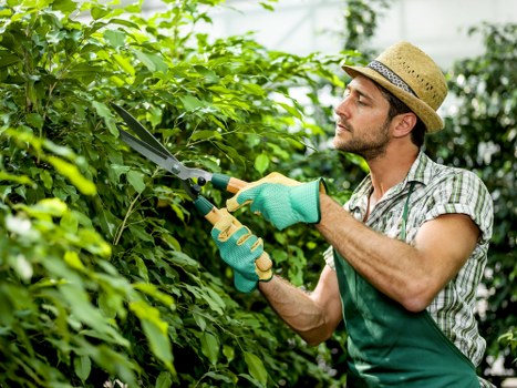 Local landscaping team working on a Crystal Palace garden
