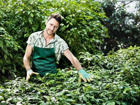 Compostable green waste and recycled landscaping materials in Crystal Palace