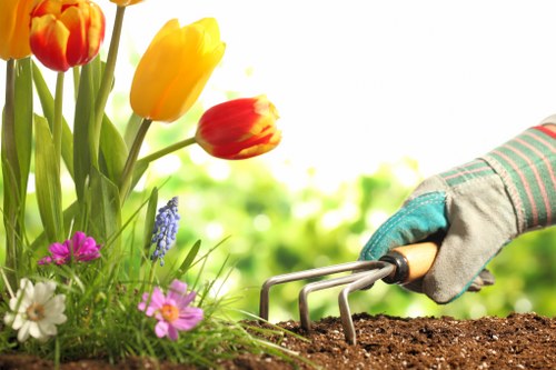 Local hard landscaping project planning for a Crystal Palace property