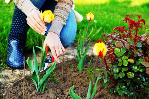 Local garden design and build project in Crystal Palace with practical outdoor features