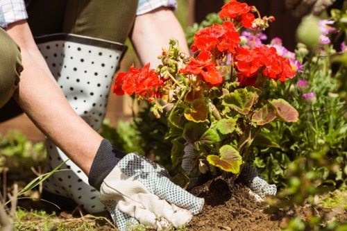 Public liability insurance and safe landscaping practices