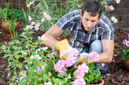Professional landscaping project in Crystal Palace